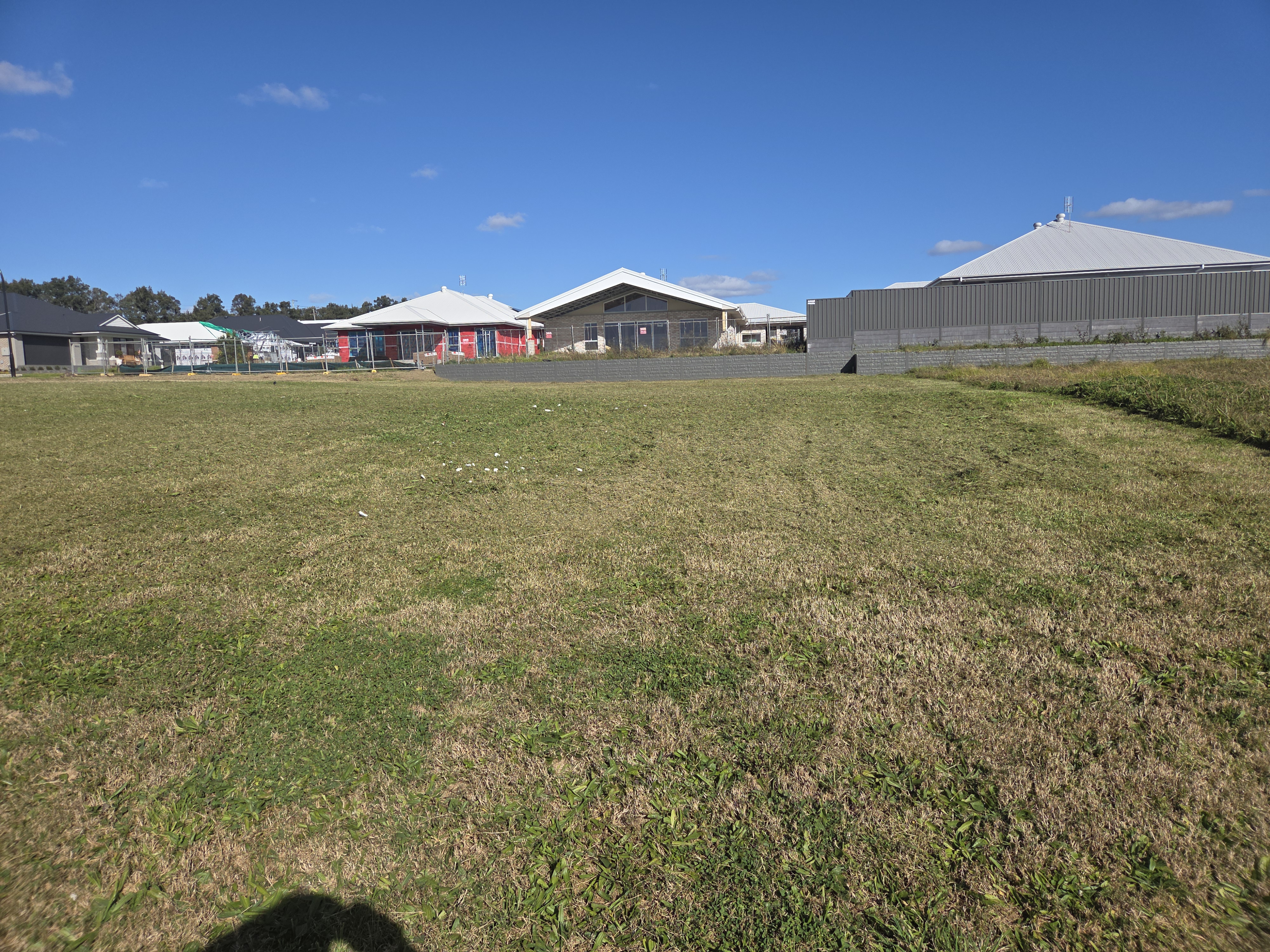 Freshly mowed residential lawn with Australian homes in the background, Maitland NSW